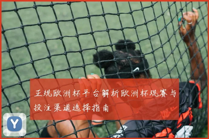 正规欧洲杯平台解析欧洲杯观赛与投注渠道选择指南