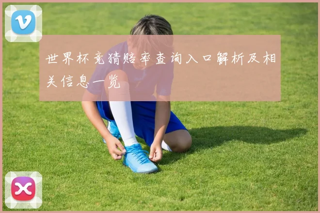 世界杯竞猜赔率查询入口解析及相关信息一览