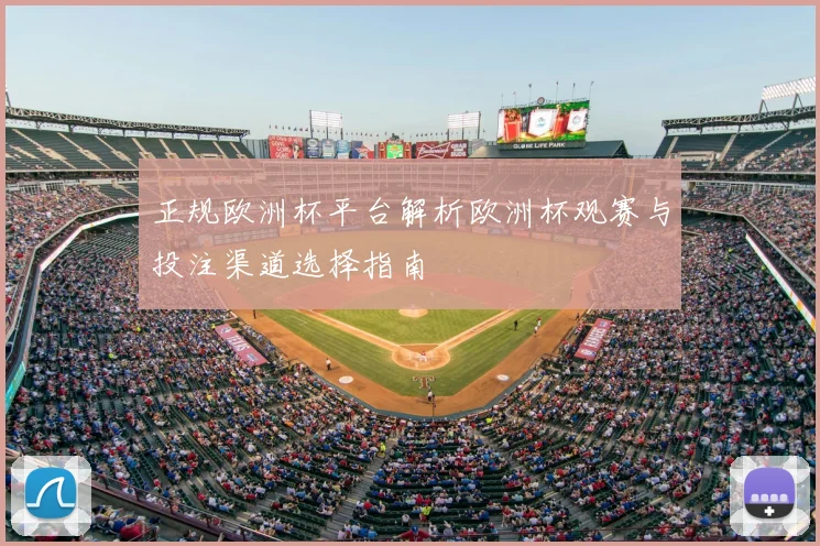 正规欧洲杯平台解析欧洲杯观赛与投注渠道选择指南