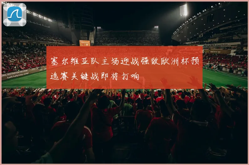 塞尔维亚队主场迎战强敌欧洲杯预选赛关键战即将打响