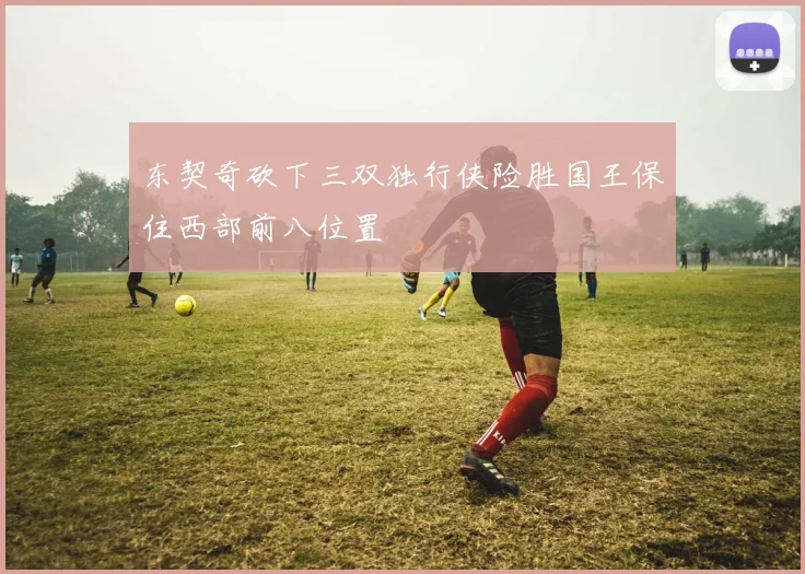 东契奇砍下三双独行侠险胜国王保住西部前八位置
