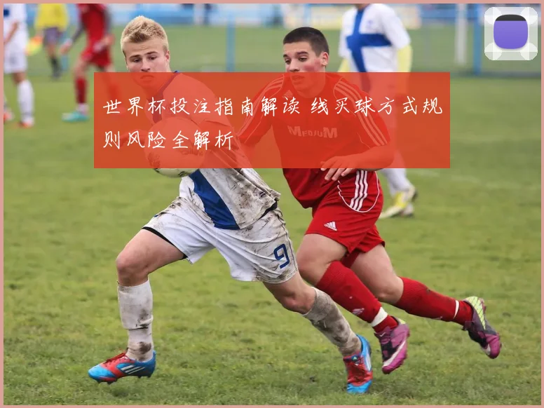 世界杯投注指南解读 线买球方式规则风险全解析