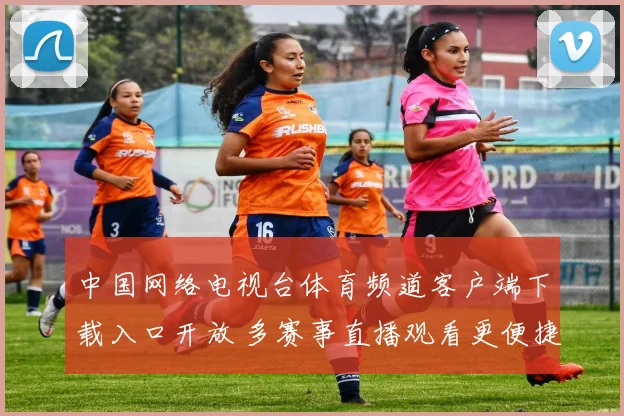 中国网络电视台体育频道客户端下载入口开放 多赛事直播观看更便捷