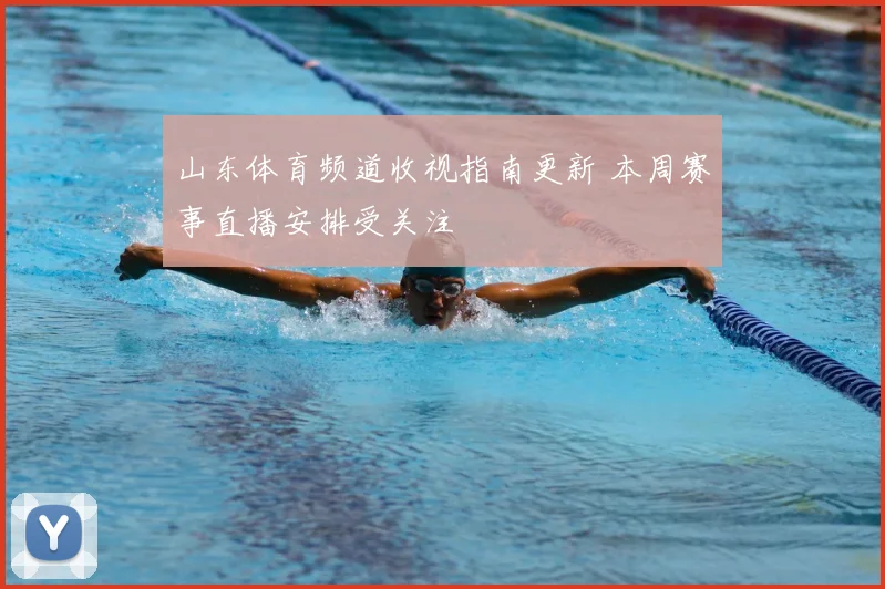山东体育频道收视指南更新 本周赛事直播安排受关注