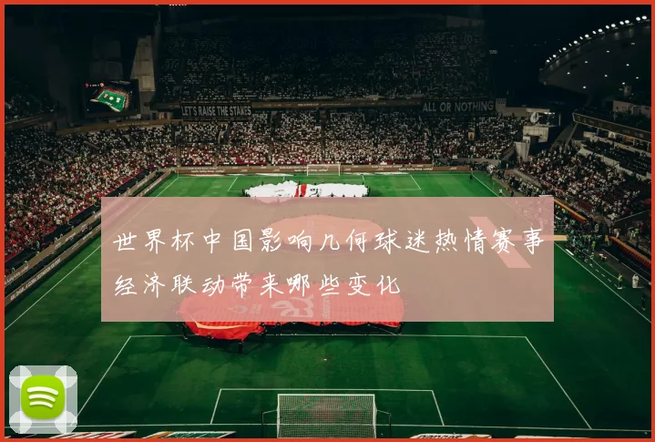 世界杯中国影响几何球迷热情赛事经济联动带来哪些变化